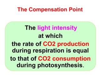 The Compensation Point 
The light intensity 
at which 
the rate of CO2 production 
during respiration is equal 
to that of CO2 consumption 
during photosynthesis. 
 