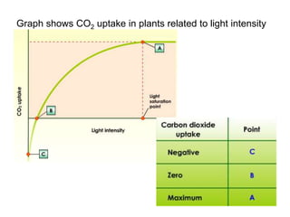 Graph shows CO2 uptake in plants related to light intensity 
 