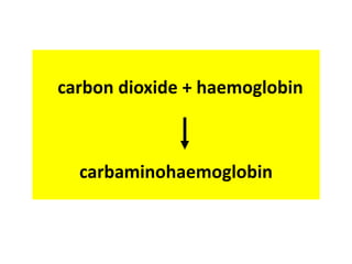 carbon dioxide + haemoglobin 
carbaminohaemoglobin 
 