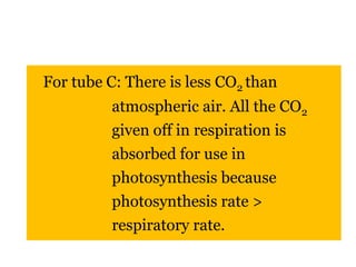 For tube C: There is less CO2 than 
atmospheric air. All the CO2 
given off in respiration is 
absorbed for use in 
photosynthesis because 
photosynthesis rate > 
respiratory rate. 
 