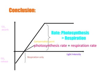 Light Intensity 
CO2 
absorb 
CO2 
release 
Compensation point 
photosynthesis rate = respiration rate 
Respiration only 
Rate: Photosynthesis 
> Respiration 
Conclusion: 
