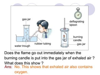 burning 
candle 
Does the flame go out immediately when the 
burning candle is put into the gas jar of exhaled air ? 
What does this show ? 
No. This shows that exhaled air also contains 
oxygen. 
Ans: 
deflagrating 
spoon 
gas jar 
water trough 
rubber tubing 
gas jar 
 