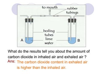 What do the results tell you about the amount of 
carbon dioxide in inhaled air and exhaled air ? 
The carbon dioxide content in exhaled air 
is higher than the inhaled air. 
Ans: 
A B 
 