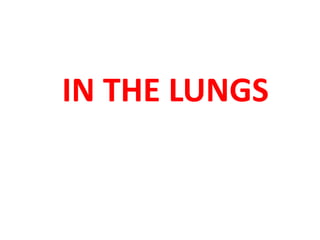 IN THE LUNGS 
 