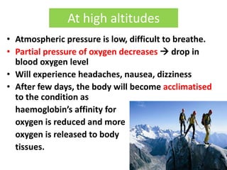 At high altitudes 
• Atmospheric pressure is low, difficult to breathe. 
• Partial pressure of oxygen decreases  drop in 
blood oxygen level 
• Will experience headaches, nausea, dizziness 
• After few days, the body will become acclimatised 
to the condition as 
haemoglobin’s affinity for 
oxygen is reduced and more 
oxygen is released to body 
tissues. 
 