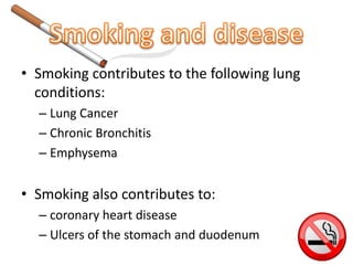 • Smoking contributes to the following lung 
conditions: 
– Lung Cancer 
– Chronic Bronchitis 
– Emphysema 
• Smoking also contributes to: 
– coronary heart disease 
– Ulcers of the stomach and duodenum 
 