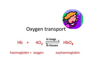 Oxygen transport 
in lungs 
Hb + 4O2 HbO8 
in tissues 
haemoglobin + oxygen oxyhaemoglobin 
 