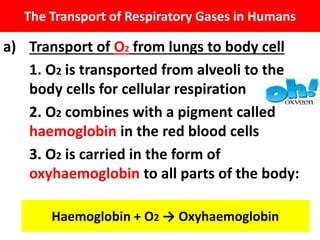 BIOLOGY FORM 4 CHAPTER 7 - RESPIRATION PART 2 | PPT