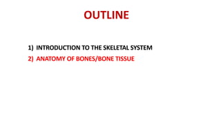 OUTLINE
1) INTRODUCTION TO THE SKELETAL SYSTEM
2) ANATOMY OF BONES/BONE TISSUE
 
