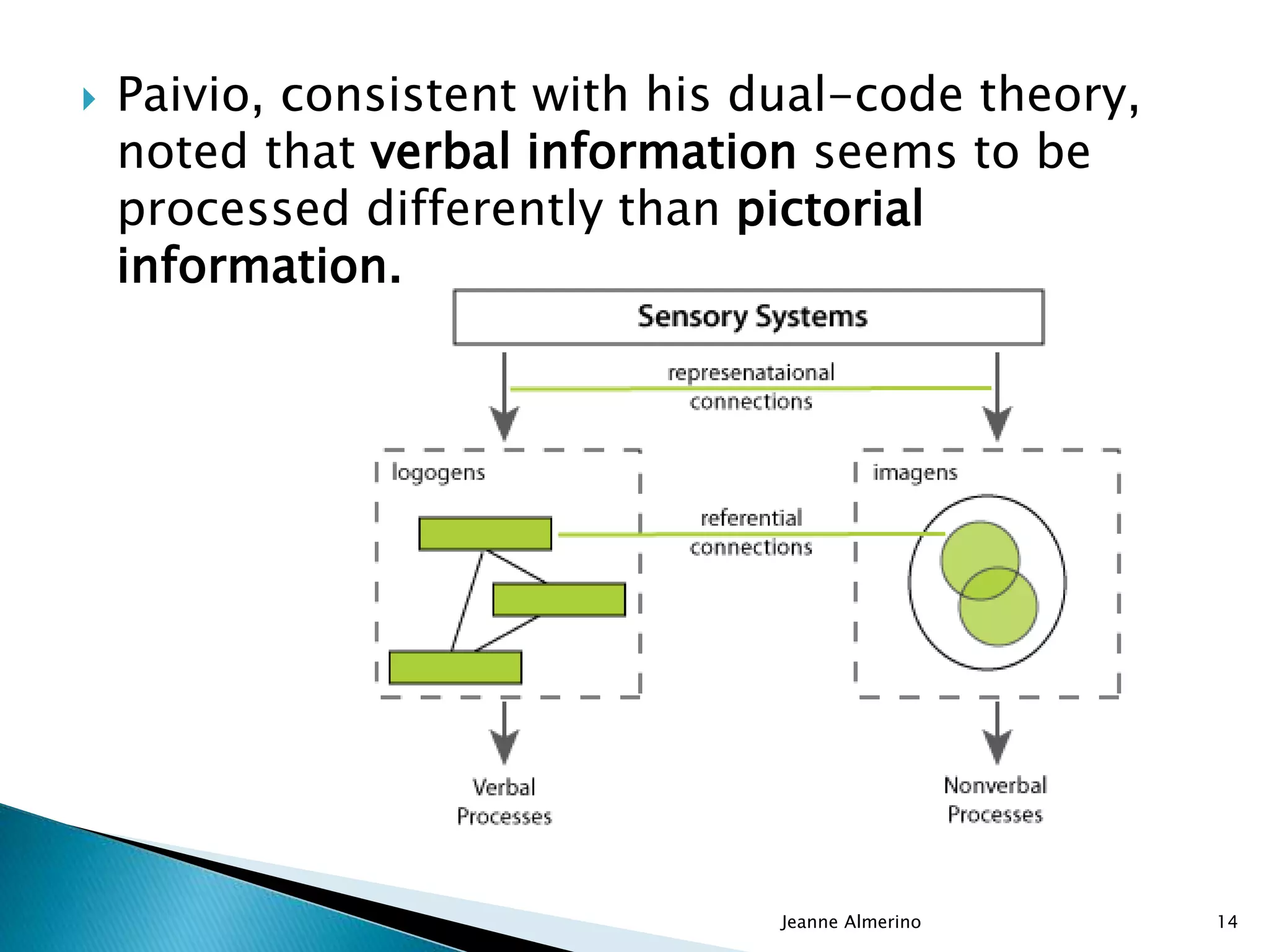  Paivio, consistent with his dual-code theory,
noted that verbal information seems to be
processed differently than pictorial
information.
Jeanne Almerino 14
 