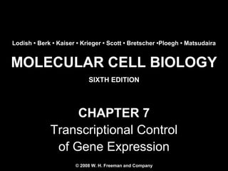Molecular Cell Biology Lodish 6th.ppt - Chapter 7 transcriptional