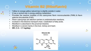 Vitamin B2 (Riboflavin)
• Yellow to orange-yellow natural dye is slightly soluble in water.
• It has a central role in energy-yielding metabolism.
• Provides the reactive moieties of the coenzymes flavin mononucleotide (FMN) & flavin
adenine dinucleotide (FAD).
• Flavin coenzymes are electron carriers in oxidoreduction reactions.
• Involved in the Electron transport chain, Catabolism of fatty acids.
• Riboflavin is absorbed in the proximal intestine.
• Riboflavin is stored mainly in the liver, kidney and heart.
• DR: (1.2 – 1.7 mg/day)
 