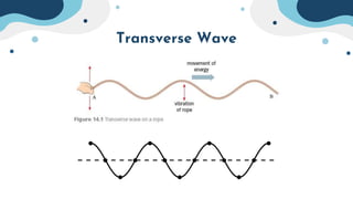 Transverse Wave
 