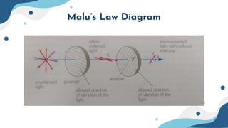 Malu’s Law Diagram
 