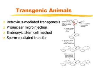 Transgenic Animals
z Retrovirus-mediated transgenesis
z Pronuclear microinjection
z Embronyic stem cell method
z Sperm-mediated transfer
 