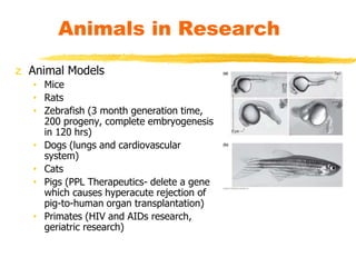 z Animal Models
• Mice
• Rats
• Zebrafish (3 month generation time,
200 progeny, complete embryogenesis
in 120 hrs)
• Dogs (lungs and cardiovascular
system)
• Cats
• Pigs (PPL Therapeutics- delete a gene
which causes hyperacute rejection of
pig-to-human organ transplantation)
• Primates (HIV and AIDs research,
geriatric research)
Animals in Research
 