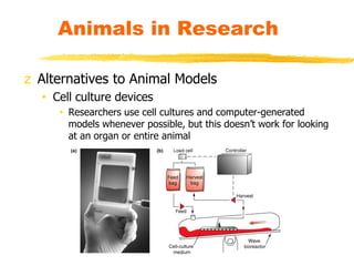 z Alternatives to Animal Models
• Cell culture devices
• Researchers use cell cultures and computer-generated
models whenever possible, but this doesn’t work for looking
at an organ or entire animal
Animals in Research
 