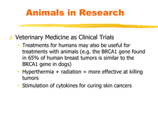 z Veterinary Medicine as Clinical Trials
• Treatments for humans may also be useful for
treatments with animals (e.g. the BRCA1 gene found
in 65% of human breast tumors is similar to the
BRCA1 gene in dogs)
• Hyperthermia + radiation = more effective at killing
tumors
• Stimulation of cytokines for curing skin cancers
Animals in Research
 