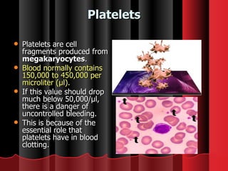 Platelets Platelets are cell fragments produced from  megakaryocytes . Blood normally contains 150,000 to 450,000 per microliter (µl).  If this value should drop much below 50,000/µl, there is a danger of uncontrolled bleeding.  This is because of the essential role that platelets have in blood clotting. 