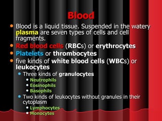 Blood Blood is a liquid tissue. Suspended in the watery  plasma  are seven types of cells and cell fragments.  Red blood cells   ( RBC s) or  erythrocytes   Platelets   or  thrombocytes   five kinds of  white blood cells  ( WBC s) or  leukocytes   Three kinds of  granulocytes   Neutrophils Eosinophils Basophils Two kinds of leukocytes without granules in their cytoplasm  Lymphocytes Monocytes 