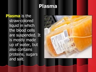 Plasma Plasma  is the straw-colored liquid in which the blood cells are suspended. It  is mostly made up of water, but also contains proteins, sugars and salt. 