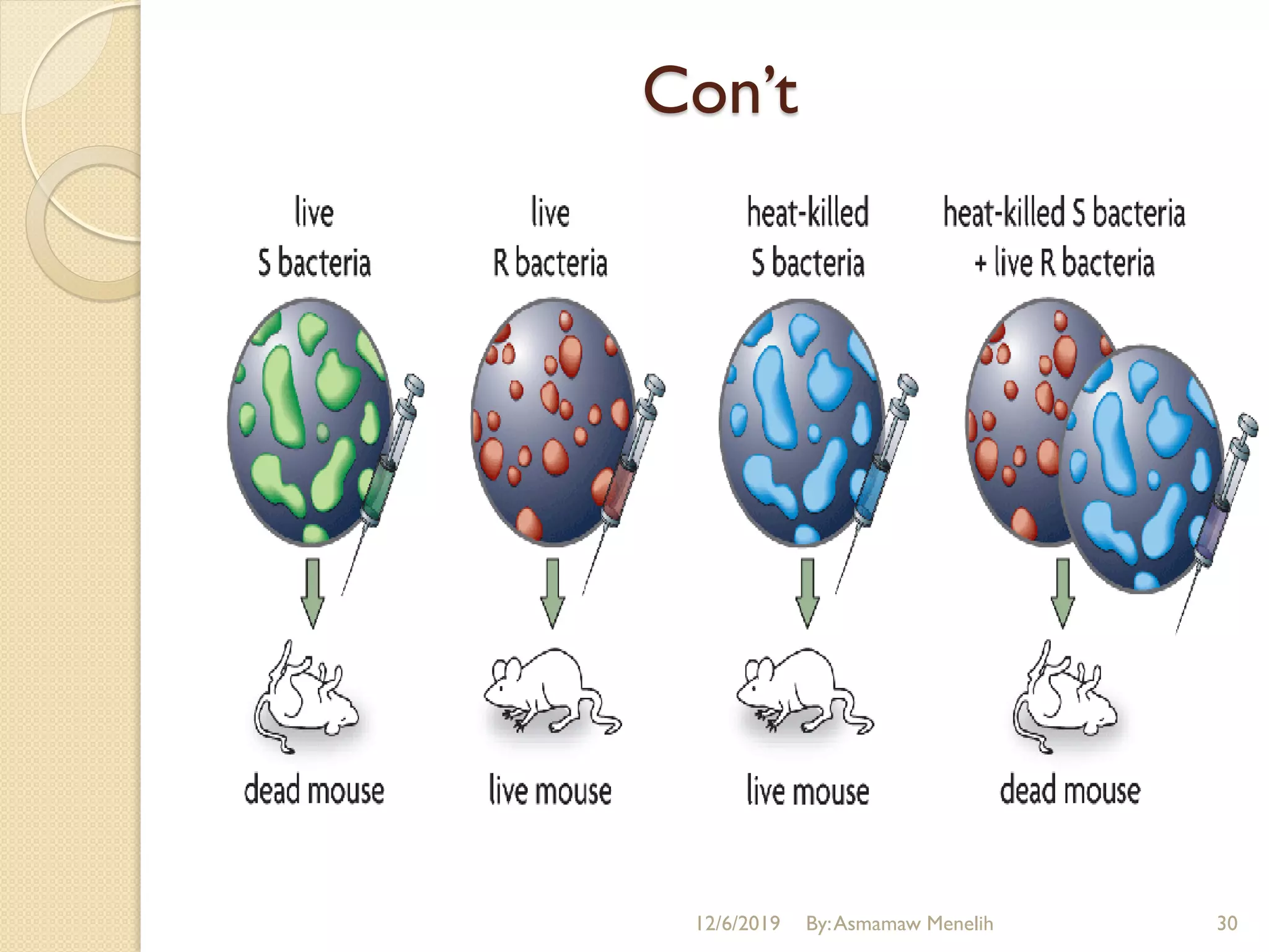 Simple Cytoplasmic Inheritance Cytoplasmic inheritance and Maternal Effect | PDF