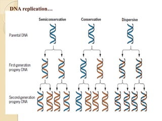 Simple Cytoplasmic Inheritance Cytoplasmic inheritance and Maternal Effect | PDF