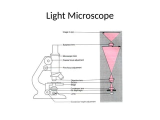 Advanced Microscopy Notes Chapter 7 Advanced_Microscopy_Presentation.pptx