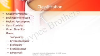 Comprehensive Overview of Opportunistic Coccidian Parasites and ...