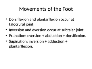 Talocrural Inversion/eversion Mobilization Comprehensive Biomechanics of the Lower Extremity: Structure, Function ...