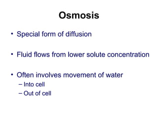 Osmosis
• Special form of diffusion
• Fluid flows from lower solute concentration
• Often involves movement of water
– Into cell
– Out of cell
 