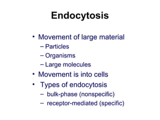 Endocytosis
• Movement of large material
– Particles
– Organisms
– Large molecules
• Movement is into cells
• Types of endocytosis
– bulk-phase (nonspecific)
– receptor-mediated (specific)
 