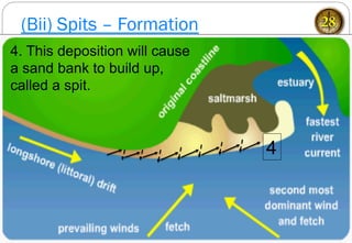 (Bii) Spits – Formation 28
4
4. This deposition will cause
a sand bank to build up,
called a spit.
 