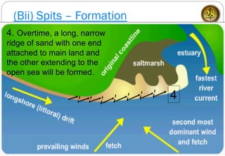 (Bii) Spits – Formation 28
4
4. Overtime, a long, narrow
ridge of sand with one end
attached to main land and
the other extending to the
open sea will be formed.
 