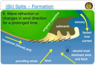 (Bii) Spits – Formation 28
6
6. Wave refraction or
changes in wind direction
for a prolonged time
 