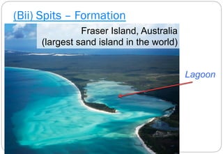 (Bii) Spits – Formation
Fraser Island, Australia
(largest sand island in the world)
Lagoon
 