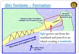 (Bii) Tombolo – Formation 28
Spit grown out from the
mainland and joined to an
island creating a tombolo.
 