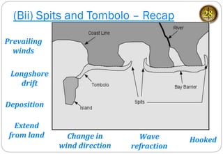 (Bii) Spits and Tombolo – Recap 28
Wave	
  
refraction	
  
Hooked	
  	
  Change	
  in	
  
wind	
  direction	
  
Deposition	
  
Longshore	
  
drift	
  
Prevailing	
  
winds	
  
Extend	
  
from	
  land	
  
 