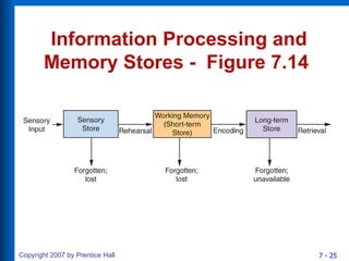 Information Processing and Memory Stores -  Figure 7.14   