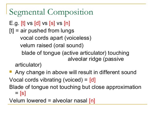 Phonology Chapter 7 Features