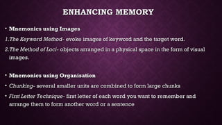 Comprehensive Overview of Human Memory Processes and Models | PPT
