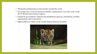 Understanding IUCN Criteria for Species Endangerment and Conservation | PDF