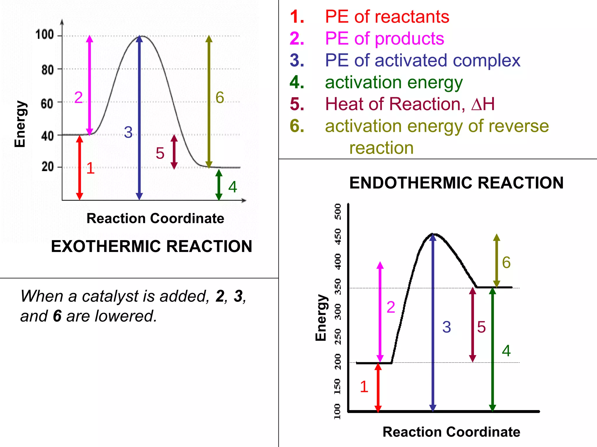 1.  PE of reactants 2.  PE of products 3.   PE of activated complex 4.   activation energy  5.   Heat of Reaction, ∆H 6.   activation energy of reverse  reaction EXOTHERMIC REACTION ENDOTHERMIC REACTION 1 Reaction Coordinate Energy 2 3 4 5 6 1 2 3 4 5 6 Reaction Coordinate Energy When a catalyst is added,  2 ,  3 ,  and  6  are lowered. 