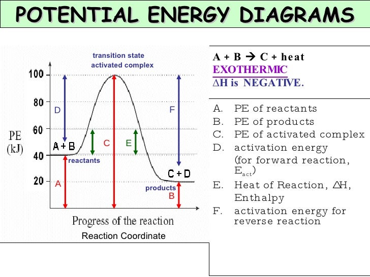 (Chapter 7) And Equilibrium