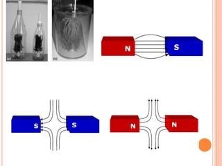 Form 3 PMR Science Chapter 7 Magnetism | PPTX