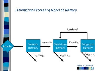 Stimuli Memory Chapter 7 Memory | PPT
