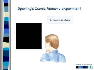 Sperling’s Iconic Memory Experiment 
