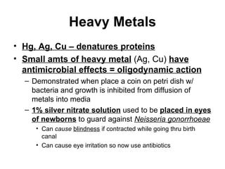 Heavy Metals Hg, Ag, Cu – denatures proteins Small amts of heavy metal  (Ag, Cu)  have antimicrobial effects = oligodynamic action Demonstrated when place a coin on petri dish w/ bacteria and growth is inhibited from diffusion of metals into media 1% silver nitrate solution  used to be  placed in eyes of newborns  to guard against  Neisseria gonorrhoeae   Can   cause   blindness  if contracted while going thru birth canal Can cause eye irritation so now use antibiotics 