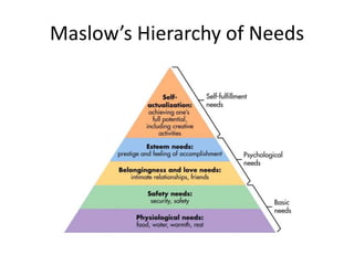 Maslow’s Hierarchy of Needs 
 