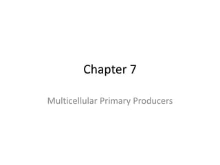 Chapter 7

Multicellular Primary Producers
 